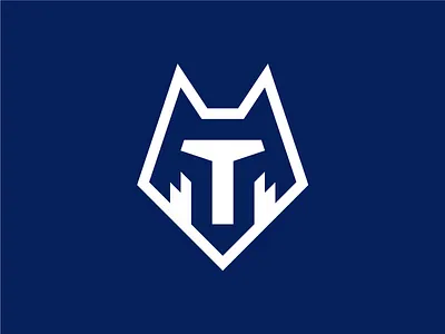 FC Tambov design football football logo logo logo design pattern pentagon q10 soccer sport sports sports branding sports design sports identity sports logo wolf