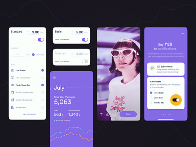 Shiba App app design finance interface ui