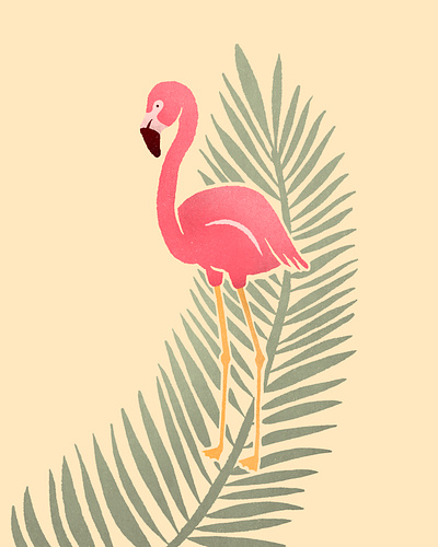 Procreate flamingo illustration procreate