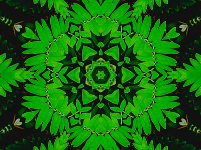 Fern Kaleidoscope adobe art artist collage art digital design digital photography kaleidoscope video kew gardens motion design motion graphics nature photo photographer photography photoshop plants video