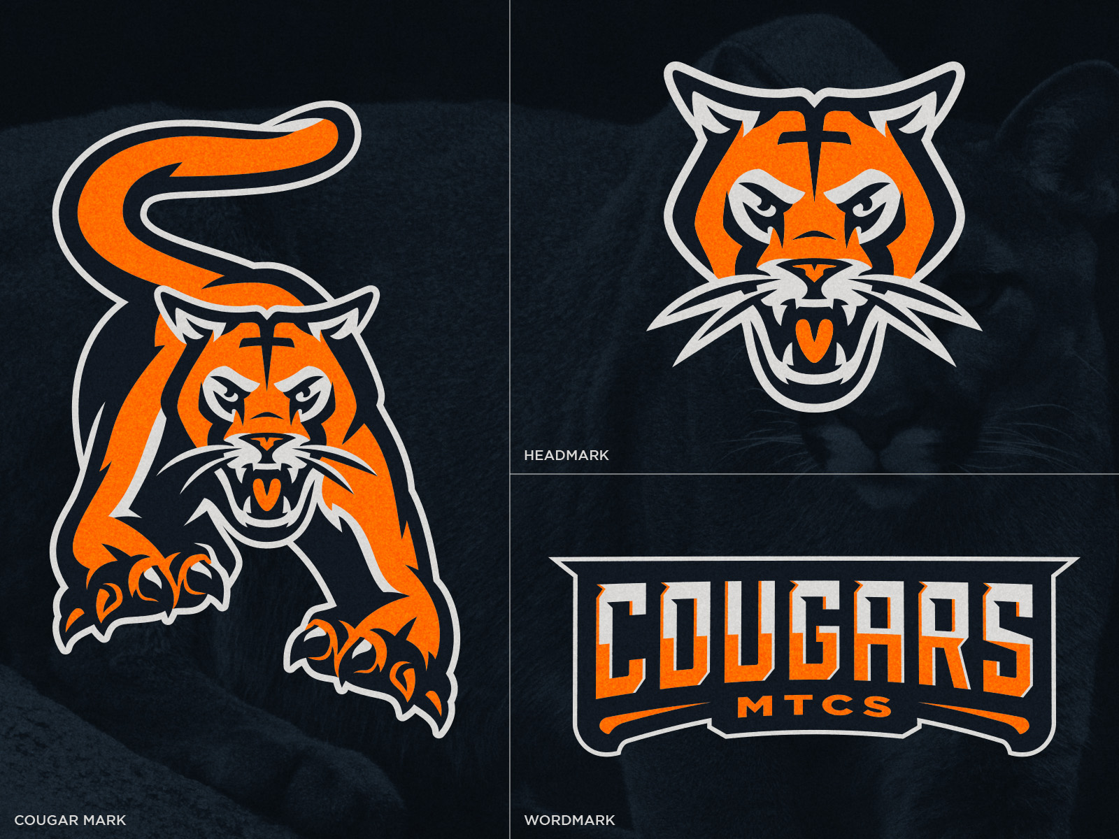 Example of Logo Design Identity Package