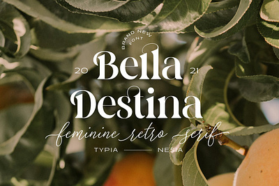 Bella Destina - Beauty Romantic Serif Font advertising branding classy display display font elegant fashion font fonts lettering logo magazine minimalist modern sans serif serif stylish typeface typography unique