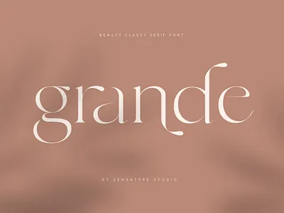 Beauty classy serif beauty font chic classic font display font ligature logo font modern sans serif typeface