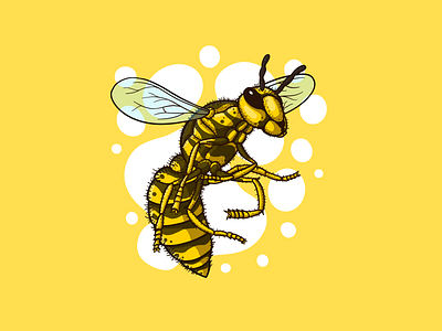 Cartoon Bee designs, themes, templates and downloadable graphic elements on  Dribbble