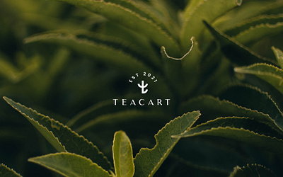 Teacart brand identity branding graphic design logo logo design luxury minimal modern premium tea estate