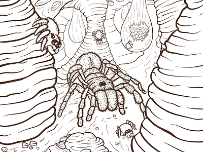 TARANTULA (Linework) arachnid background cartoon cartoon character cartoon illustration cartooning character design design drawabox illustration insect landscape procreate spider tarantula web