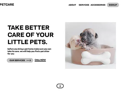PetCare Website design design ui