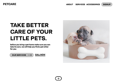 PetCare Website design design ui