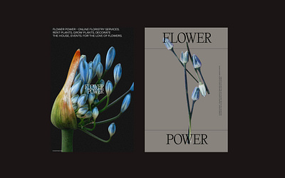 Flower shop branding exploration branding design flower typography