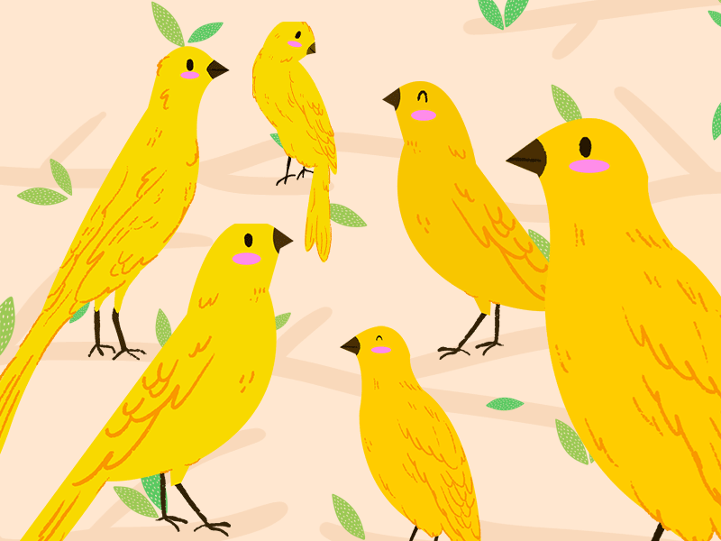 Yellow Birds In The Jungle 36daysoftype animation bird watching birds canary cute design digital art illustration italy jungle summer travel tropical visual yellow