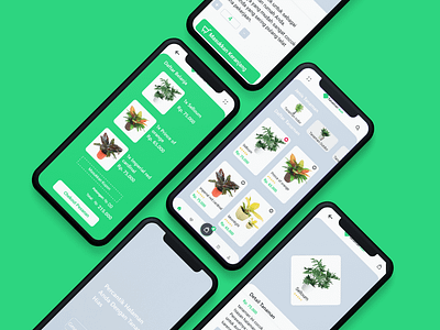 Ui App Store Tanaman Hias branding graphic design ux