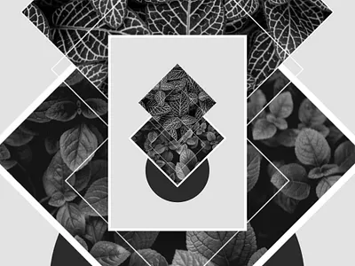 Leaf abstract poster creativeblock design graphic design illustration poster poster design