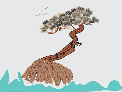 Pinus mugo one line art