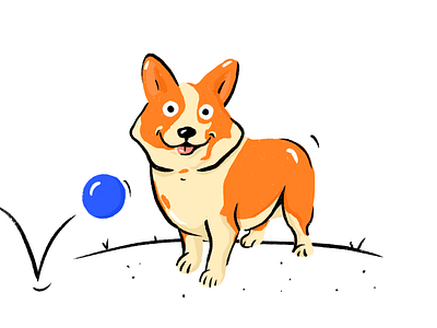 Corgi Illustration animal character illustration procreate