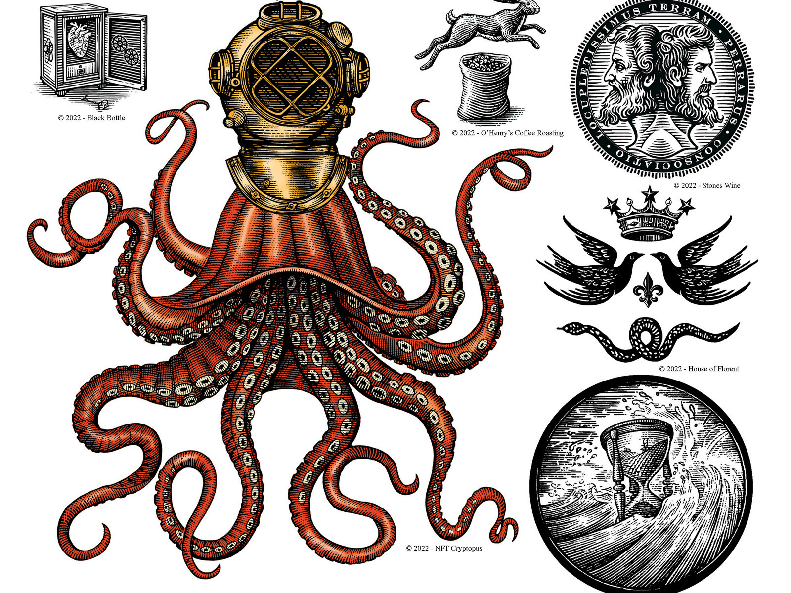 Scratchboard HandCrafted Illustrations by Steven Noble on Dribbble