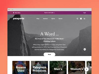 Patagonia UX Research Experience