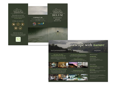 BROCHURE - BELUM RAINFOREST branding brochure corporate design forest graphic design icon illustration logo typography vector