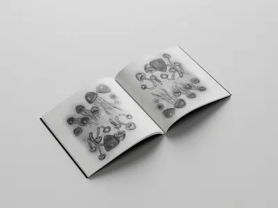 Jellyfish - Mushroom drawing illustartion jellyfish mashroom surrealism