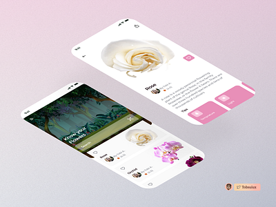 Flowers design mobile app mobile app design mobile design mobile ui ui uidesign visual design