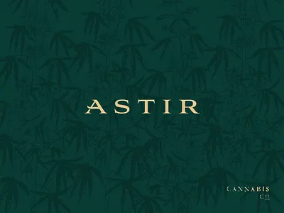 Astir Cannabis Co. Logotype agency branding cannabis cannabis branding cbd creative direction design logo logotype