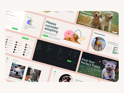 Puppy search for breeders and adoption 🐶 web portal dashboard design landing marketplace promo promotion ui uiux web web app