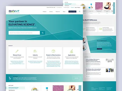 BiolVT design development minimal web website website design wordpress wordpress design wordpress development