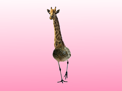 Animal Merge photoshop