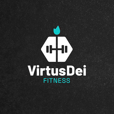 Brand Identity - VirtusDei Fitness branding graphic design icon logo vector