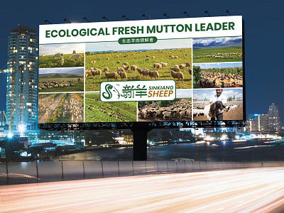 Sinkiang Sheep Leader Billboard Design unique sheep billboard