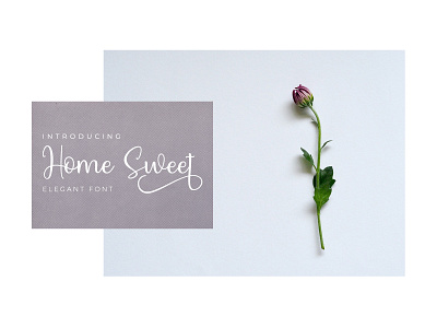 Home Sweet | Font branding clean design font fresh graphic design