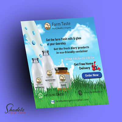 Marketing Design branding design graphic design illustration logo typography vector