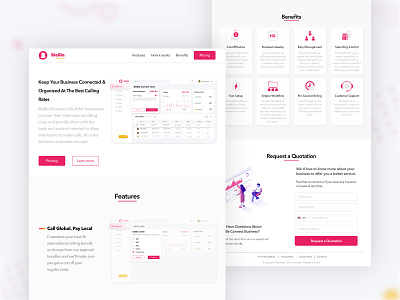 BlaBla Business - Landing Page app branding business clean color concept dailyui dashboard design illustration interface landingpage mi sketch ux vector web webdeisgn website