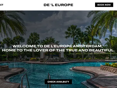 Hotel Landing Page branding design ui