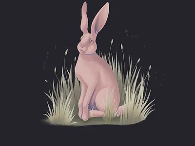 Rabbit animal animalistic illustration digital illustration digitalart illustration rabbit