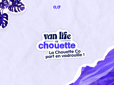 Van Life is Chouette — La Chouette Co part en vadrouille ! branding design graphic design illustration logo studio web