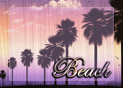 Beach Sunset Vibe design graphic design social media sunset
