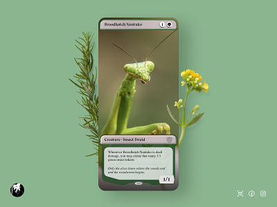 MTG - Insect (AR Filter) ar facebook filter insect instagram praying mantis