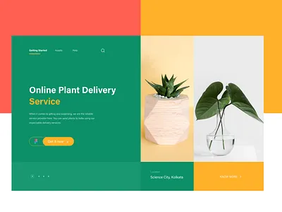 Plant Delivery Web design bold branding clean color dailyui desktop digital freelance minimal photos product solid typography ui design user interface web design webinar website whitespace