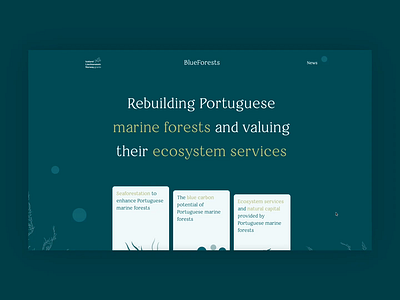 BlueForests Website bluegrowth concealed design development illustration kelp kelpforests nextjs react restoringnature seaforestation seaweed uxui