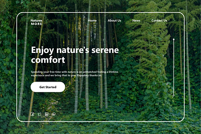 Nature NGO Design design ui uiux web web design