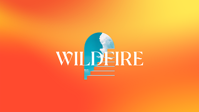 Wild Fire branding design graphic design logo typography