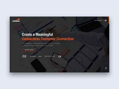Echidna Reskinning Concept branding ux