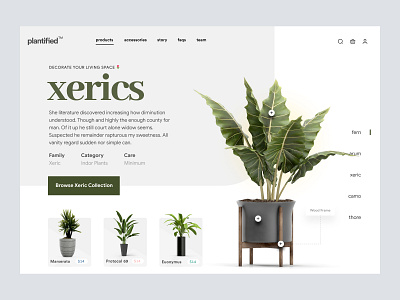 Shopify website design design design system information interface organic store product design research shopify store web web design woocommerce