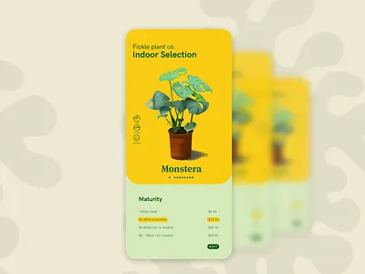 Plant Store User Interface app branding design indoor plant minimal plant shop ui ui design web