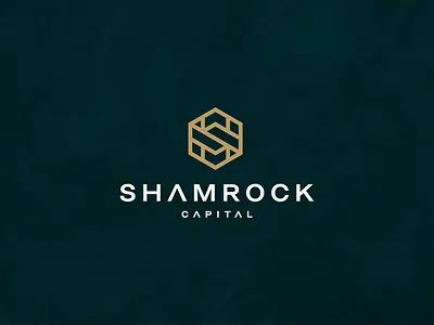 Shamrock Capital accounting branding character consulting design hexagonal icon logo sletter symbol vector