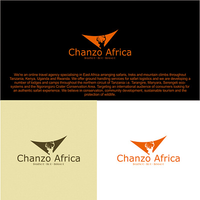 LOGO DESIGN FOR CHANZO AFRICA animation branding graphic design logo