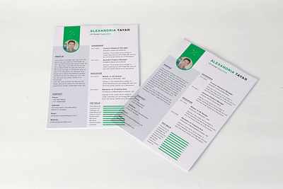 Resume design | CV design | Profile Design armansdesign bifold brochure business resume clean resume company profile corporate magazine creative resume cv cv job graphic design job application profile setting resume resume design