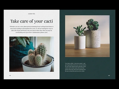 Cacti Editorial Design 2022 trends art direction article branding clean creative design editorial editorial design graphic design illustration layout logo print publication ui ui elements uidesign ux web