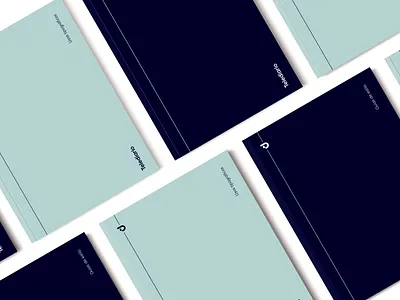 Telediario Guidelines book branding color guidelines identity visual