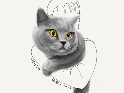 Friend's Cat cat illustration sketch